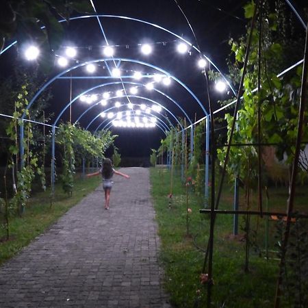 Villa "Zepuri" Dushet'i Екстериор снимка