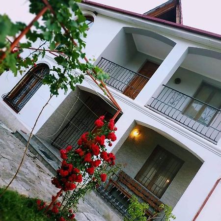 Villa "Zepuri" Dushet'i Екстериор снимка