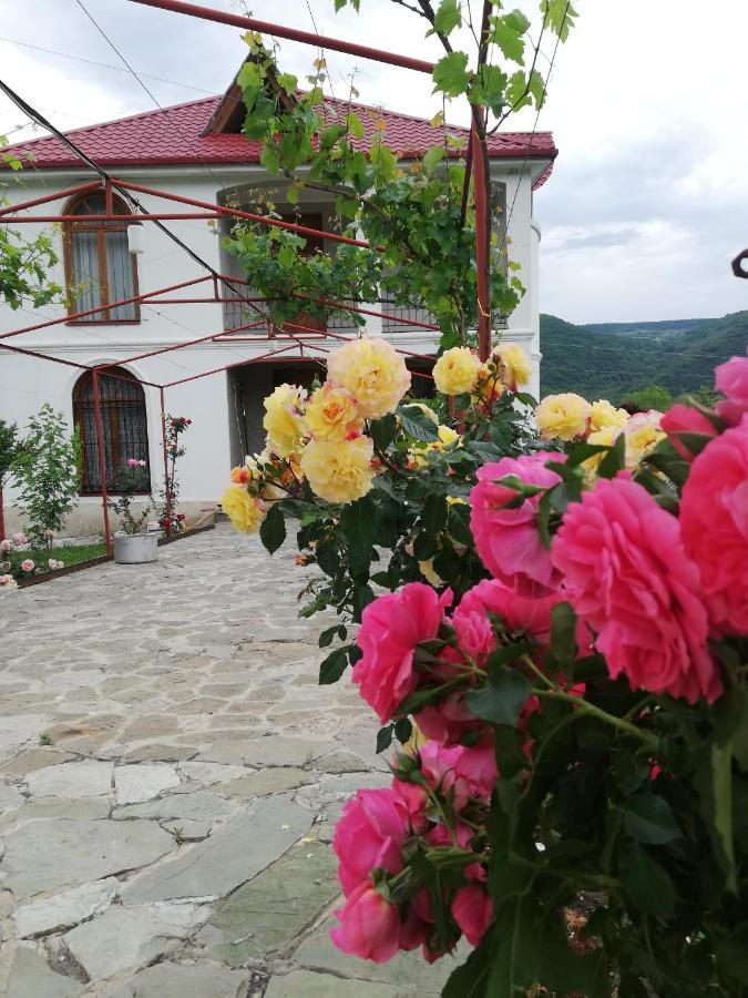 Villa "Zepuri" Dushet'i Екстериор снимка