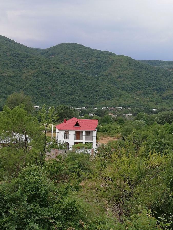 Villa "Zepuri" Dushet'i Екстериор снимка